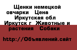 Щенки немецкой овчарки › Цена ­ 5 000 - Иркутская обл., Иркутск г. Животные и растения » Собаки   